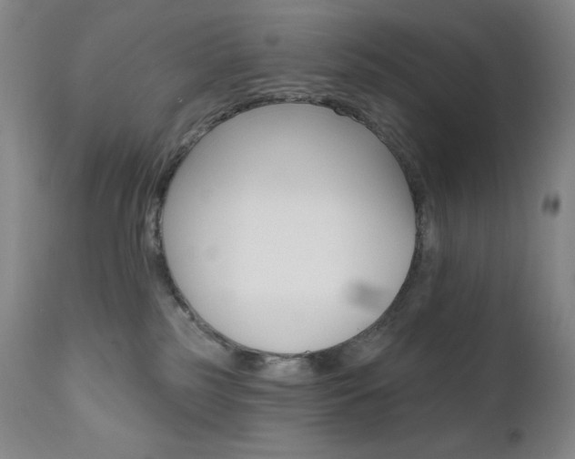 X0000111020185200906191240