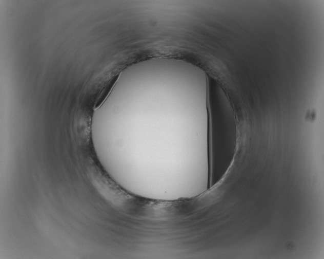 X0000111020186200906191240