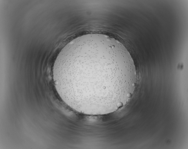 X0000111020187200906191240