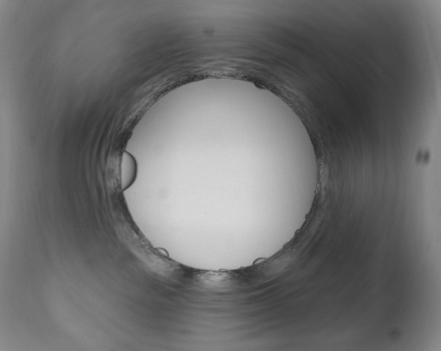 X0000111020189200906191240