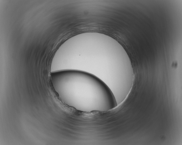 X0000111020190200906191240