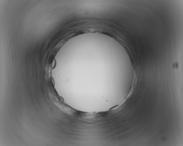 X0000111020191200906191240