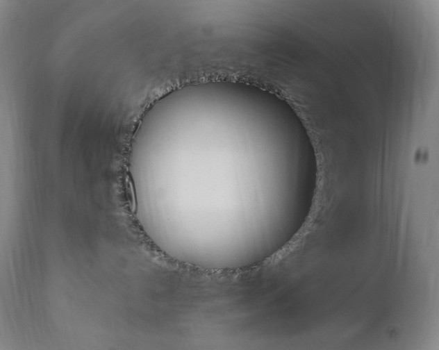 X0000111020192200906191240