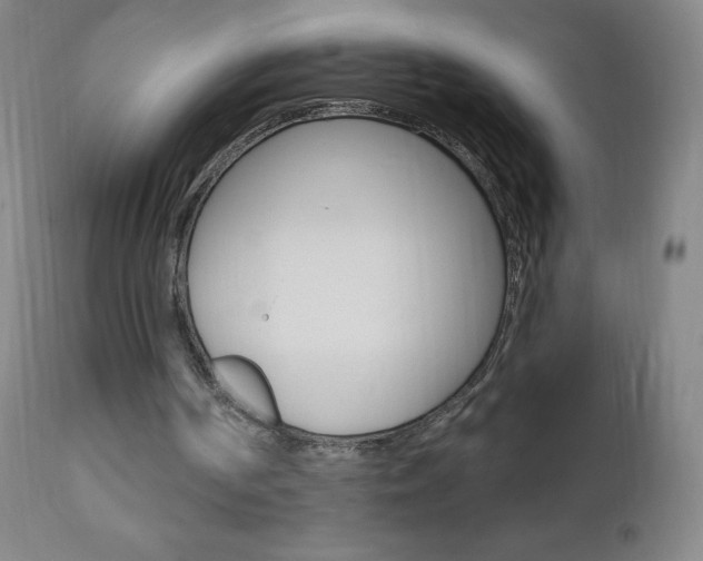 X0000111020194200906191239