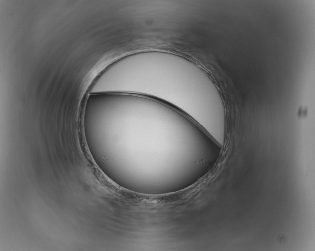 X0000111020195200906191239