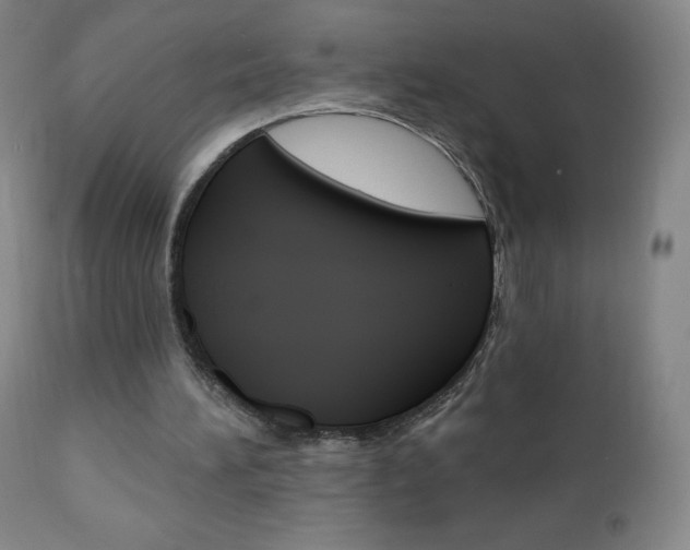 X0000111020196200906191239