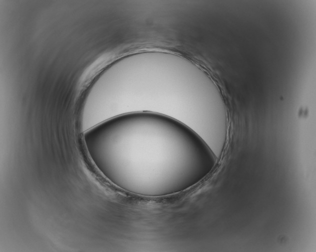 X0000111020197200906191239