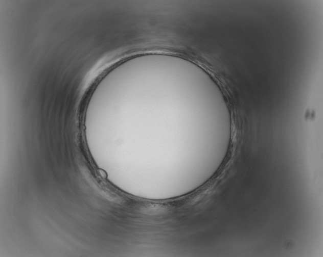 X0000111020198200906191239