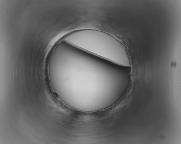 X0000111020200200906191239