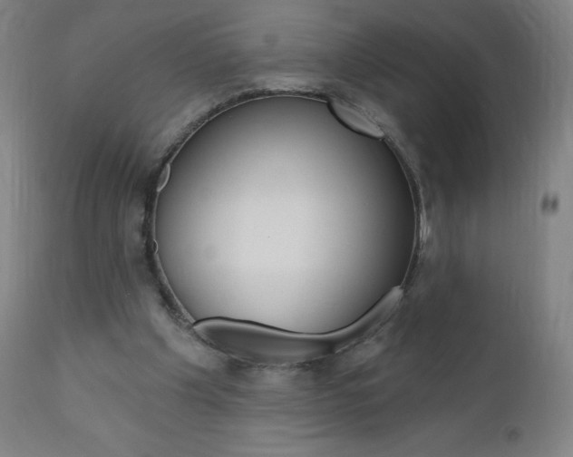 X0000111020201200906191239