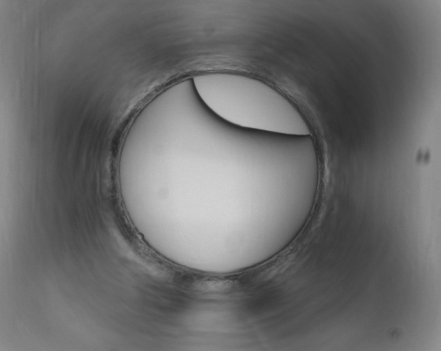 X0000111020202200906191239