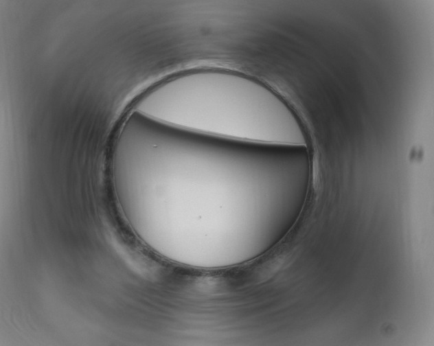 X0000111020204200906191239