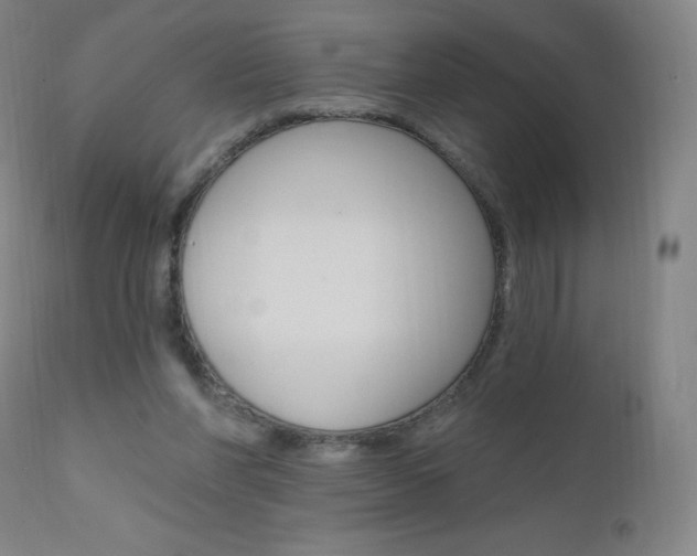 X0000111020206200906191239