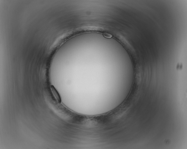 X0000111020207200906191239