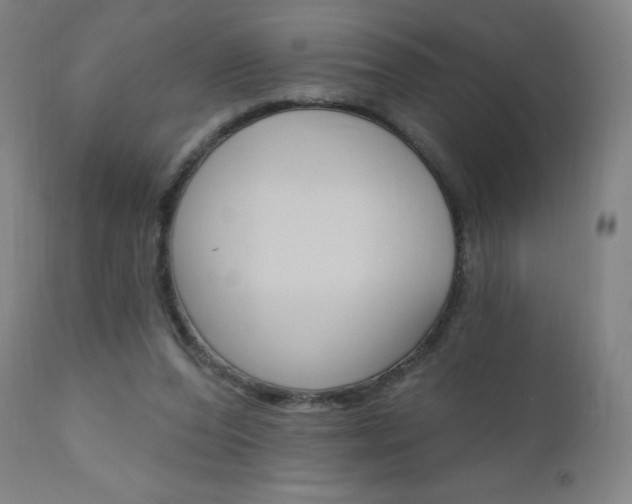 X0000111020208200906191239