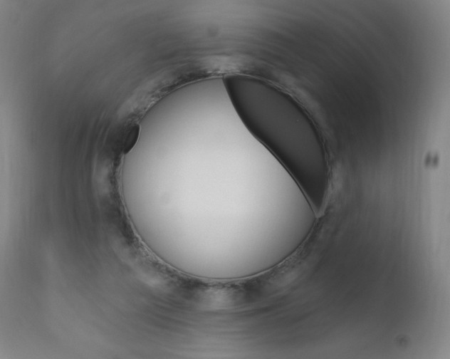X0000111020209200906191239