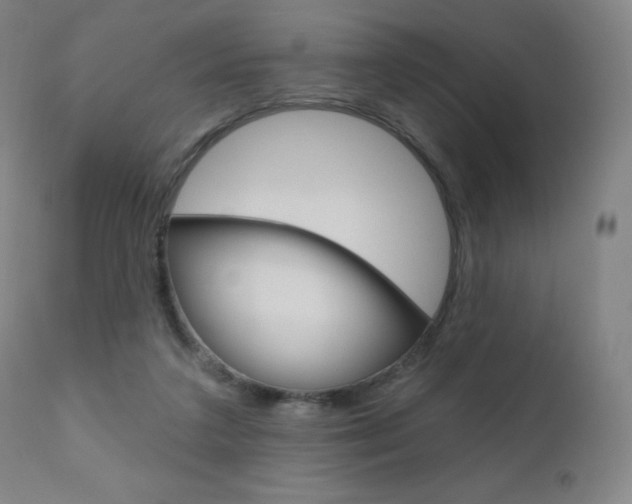 X0000111020211200906191239
