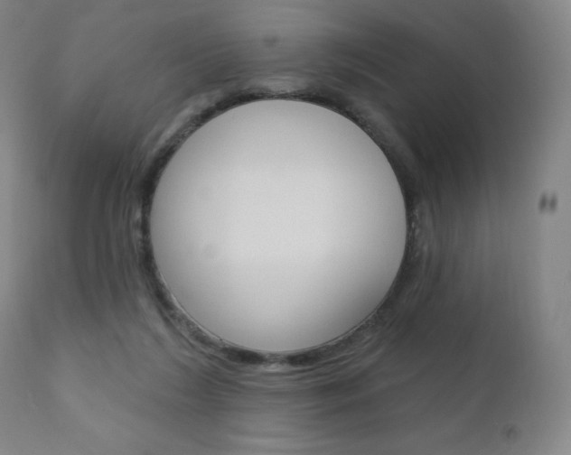 X0000111020212200906191239