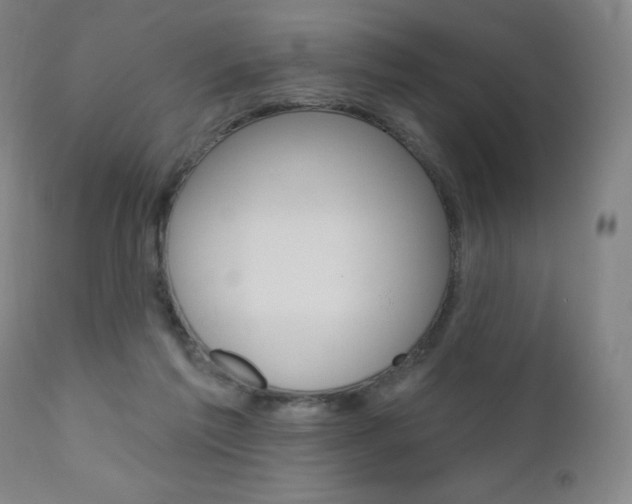 X0000111020213200906191239