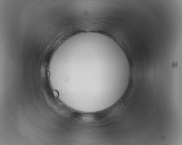 X0000111020214200906191239