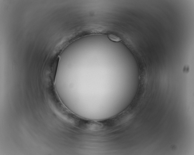 X0000111020215200906191239