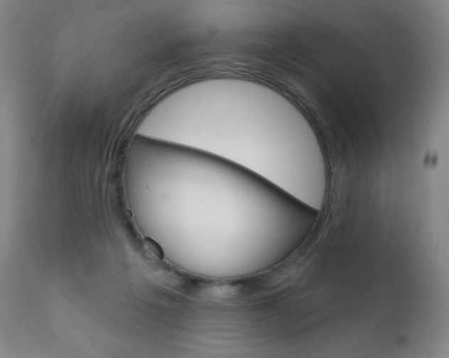 X0000111020217200906191239