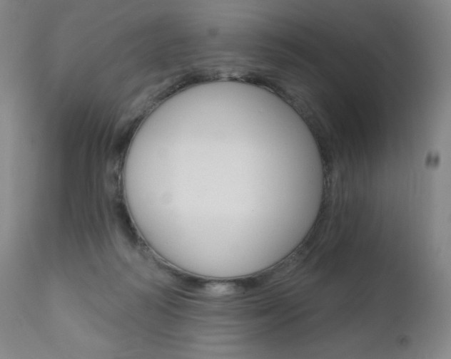 X0000111020218200906191239