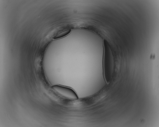 X0000111020219200906191239
