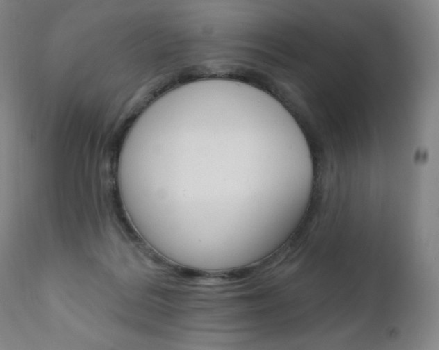 X0000111020220200906191239