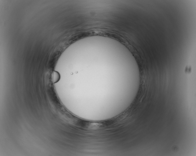 X0000111020222200906191239