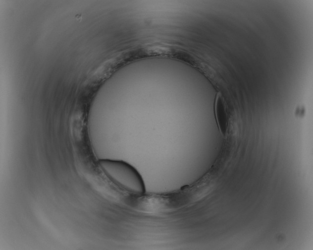 X0000111020223200906191239