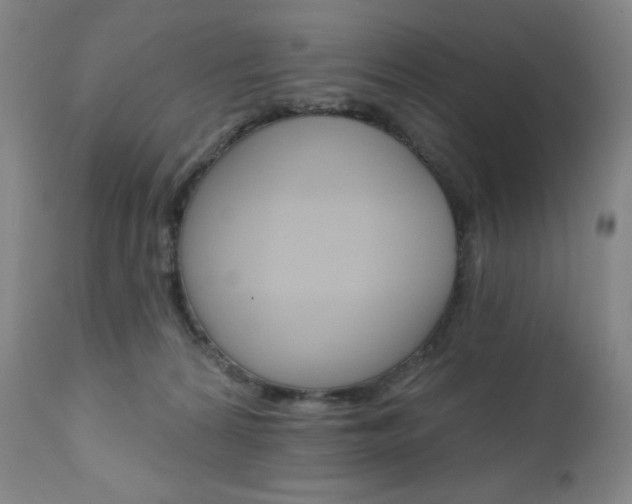 X0000111020224200906191239