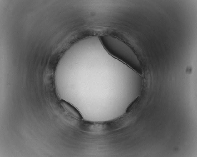 X0000111020225200906191239