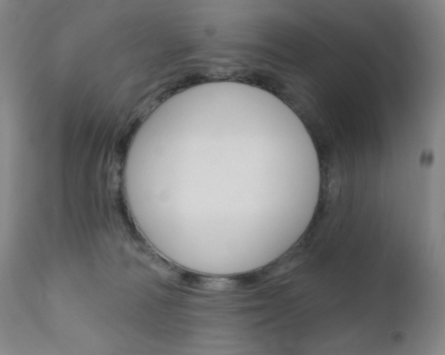 X0000111020226200906191239