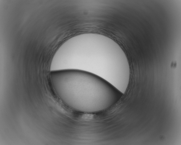 X0000111020227200906191239