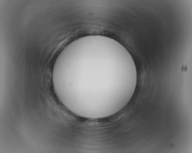 X0000111020228200906191238