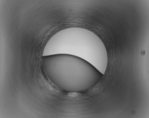 X0000111020231200906191238