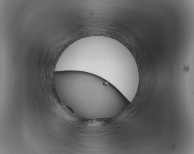 X0000111020235200906191238
