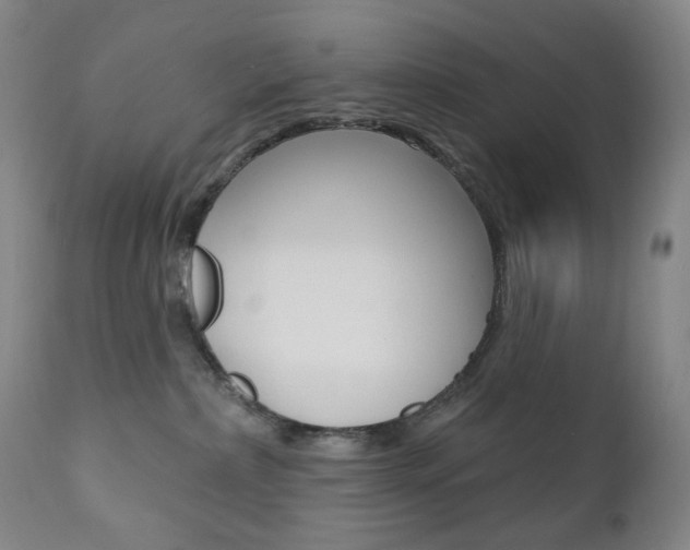 X0000111020236200906191238