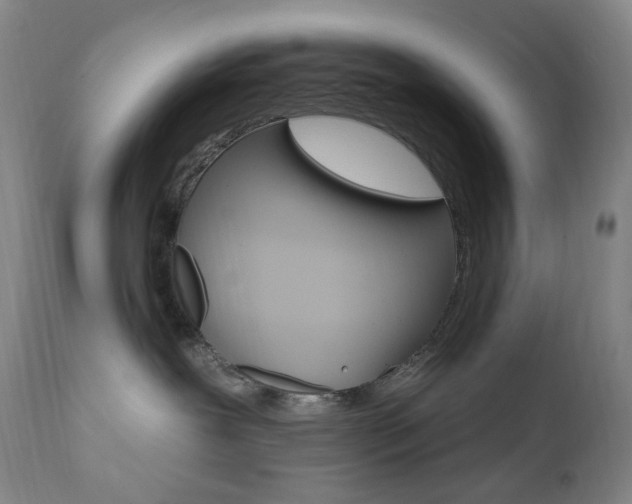 X0000111020239200906191238