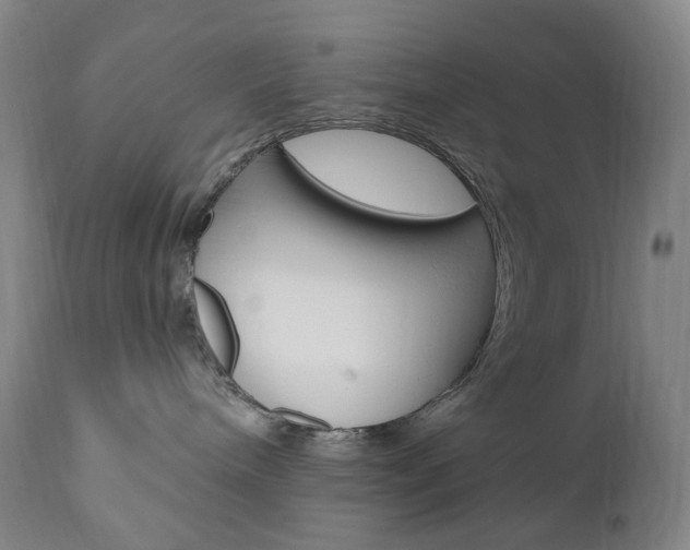 X0000111020240200906191238