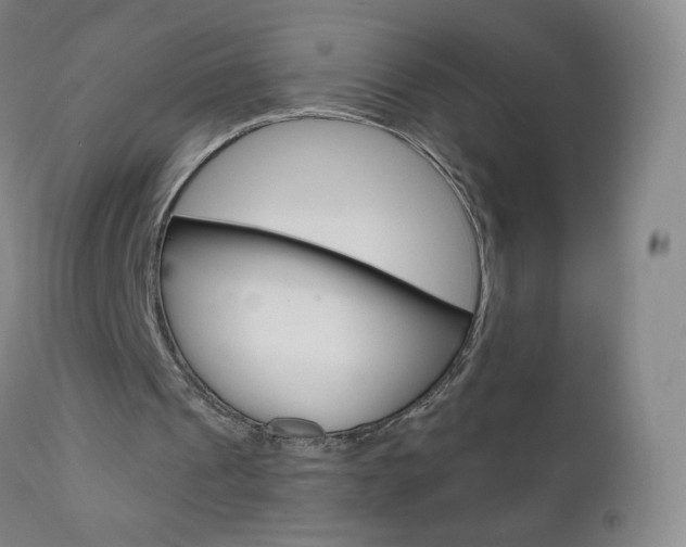 X0000111020241200906191237