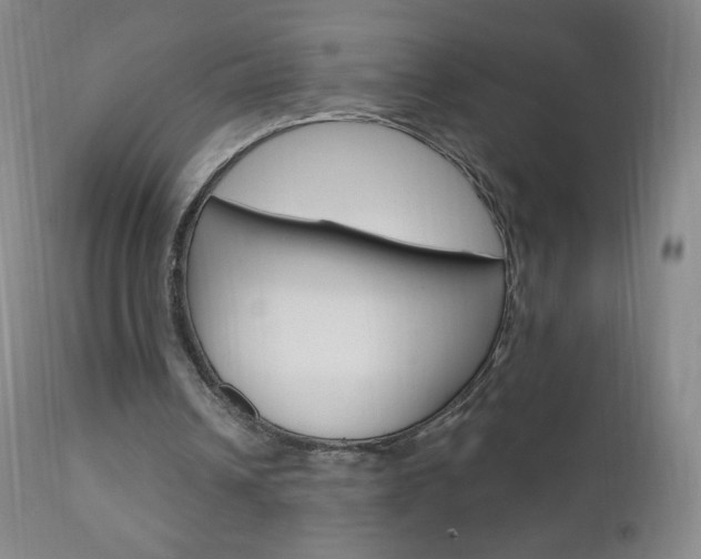 X0000111020242200906191237