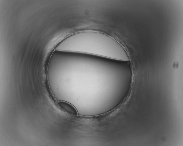 X0000111020245200906191238