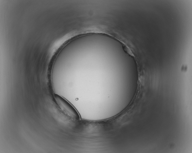 X0000111020248200906191238