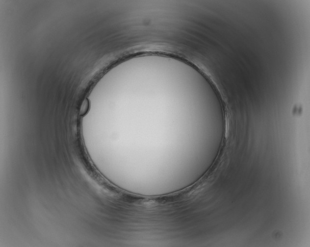 X0000111020253200906191238