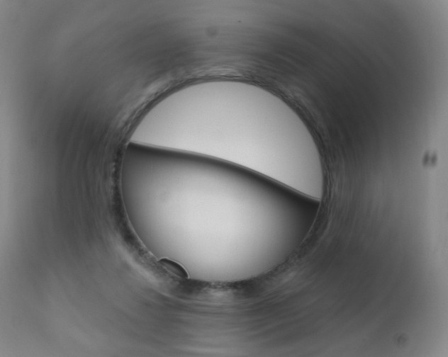 X0000111020260200906191238