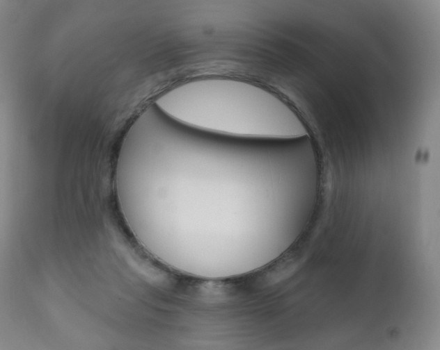 X0000111020261200906191238