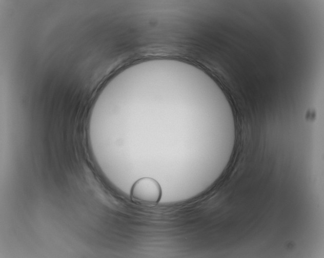 X0000111020264200906191238