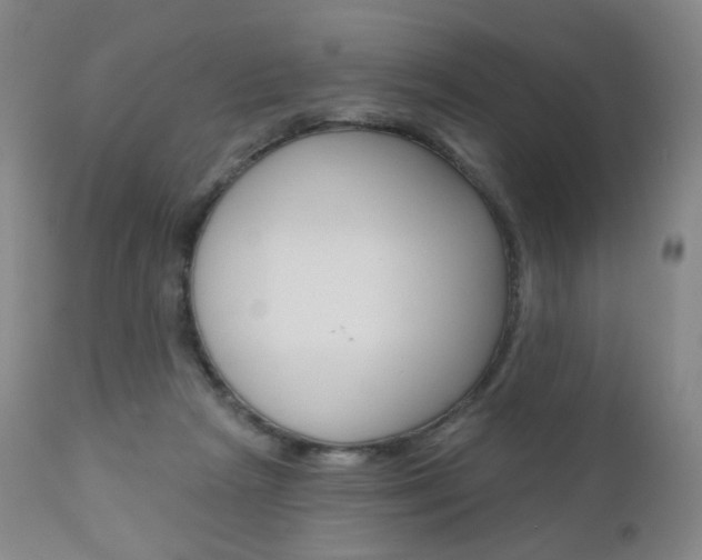 X0000111020265200906191238